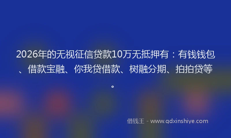 2026年的无视征信贷款10万无抵押有：有钱钱包、借款宝融、你我贷借款、树融分期、拍拍贷等。