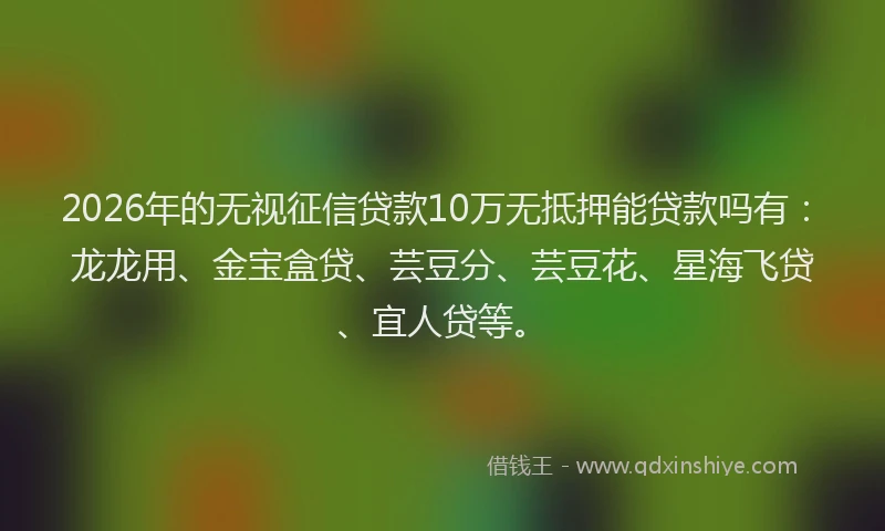 2026年的无视征信贷款10万无抵押能贷款吗有：龙龙用、金宝盒贷、芸豆分、芸豆花、星海飞贷、宜人贷等。