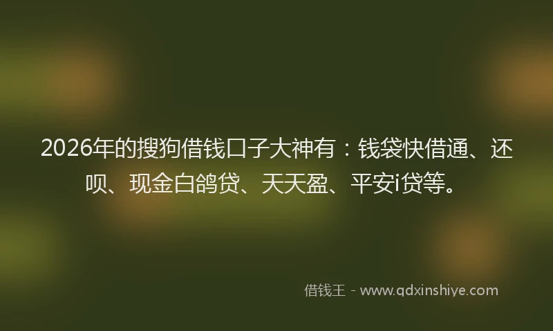 2026年的搜狗借钱口子大神有：钱袋快借通、还呗、现金白鸽贷、天天盈、平安i贷等。