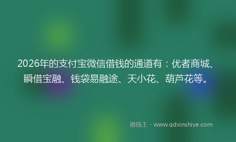 2026年的支付宝微信借钱的通道有：优者商城、瞬借宝融、钱袋易融途、天小花、葫芦花等。