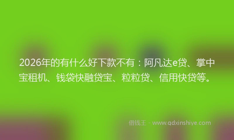 2026年的有什么好下款不有：阿凡达e贷、掌中宝租机、钱袋快融贷宝、粒粒贷、信用快贷等。