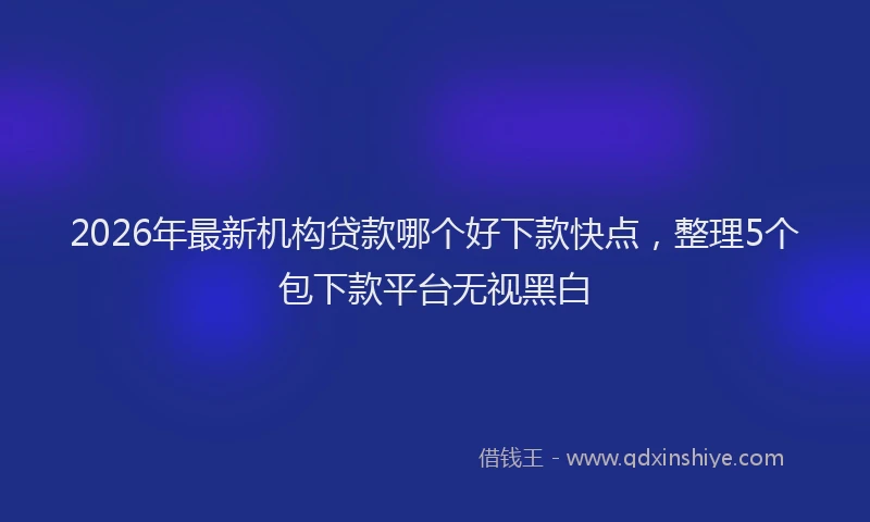 2026年最新机构贷款哪个好下款快点，整理5个包下款平台无视黑白