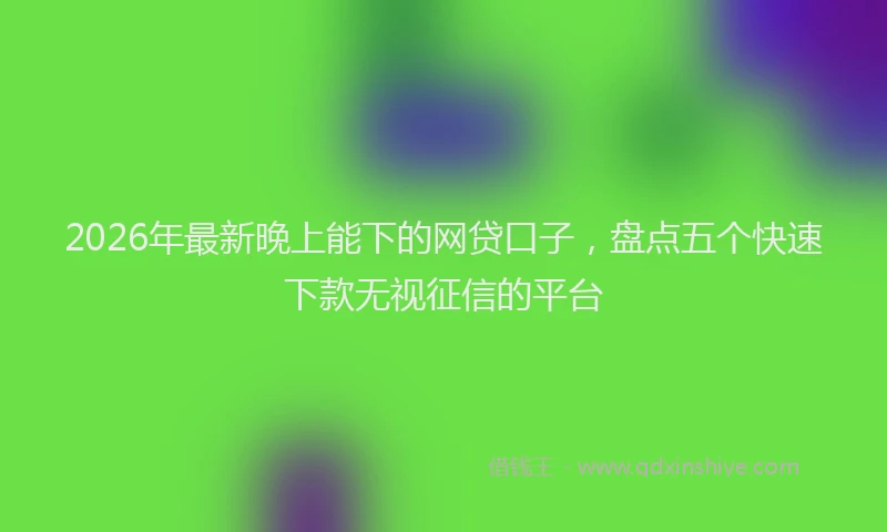 2026年最新晚上能下的网贷口子，盘点五个快速下款无视征信的平台