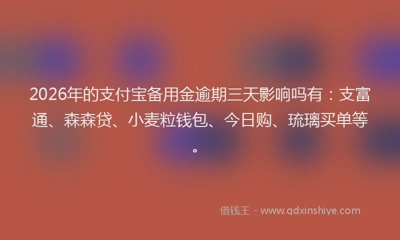 2026年的支付宝备用金逾期三天影响吗有：支富通、森森贷、小麦粒钱包、今日购、琉璃买单等。