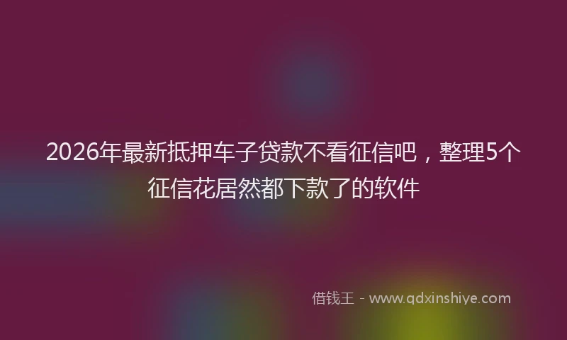 2026年最新抵押车子贷款不看征信吧，整理5个征信花居然都下款了的软件