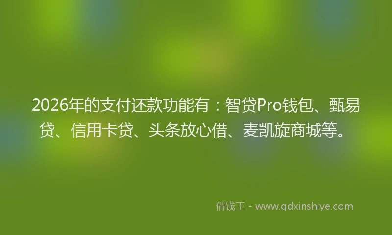 2026年的支付还款功能有：智贷Pro钱包、甄易贷、信用卡贷、头条放心借、麦凯旋商城等。