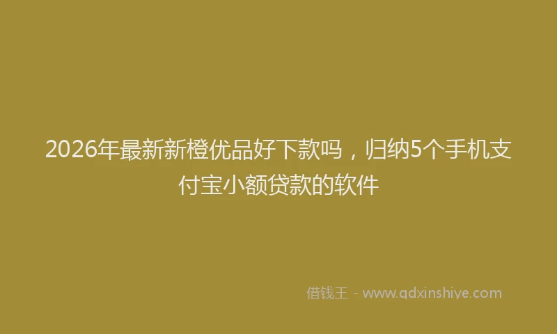2026年最新新橙优品好下款吗，归纳5个手机支付宝小额贷款的软件