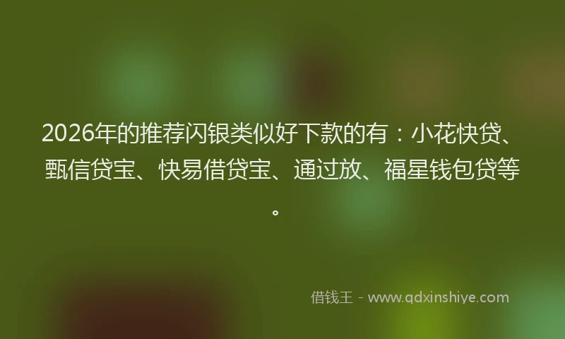 2026年的推荐闪银类似好下款的有：小花快贷、甄信贷宝、快易借贷宝、通过放、福星钱包贷等。