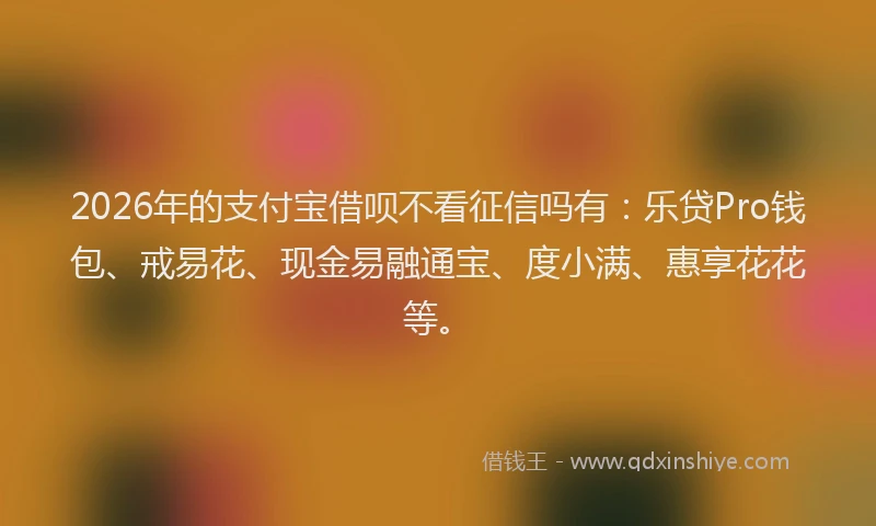 2026年的支付宝借呗不看征信吗有：乐贷Pro钱包、戒易花、现金易融通宝、度小满、惠享花花等。