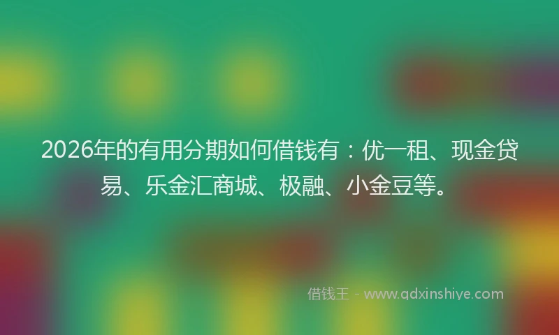 2026年的有用分期如何借钱有：优一租、现金贷易、乐金汇商城、极融、小金豆等。