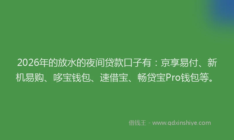 2026年的放水的夜间贷款口子有：京享易付、新机易购、哆宝钱包、速借宝、畅贷宝Pro钱包等。