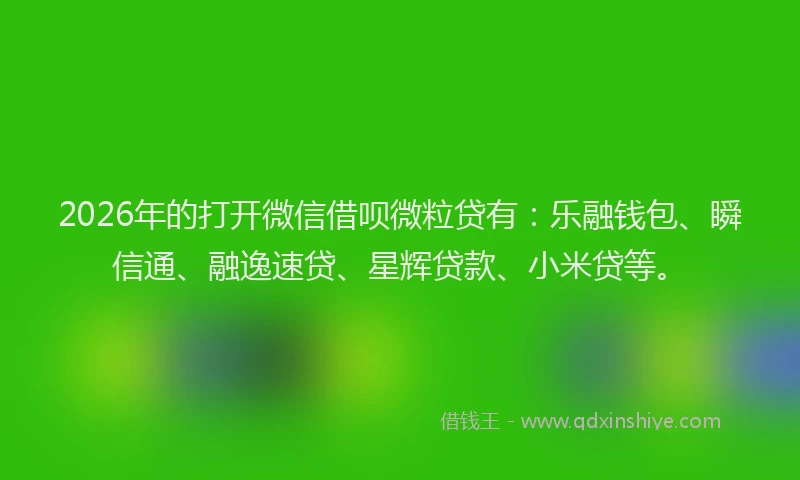 2026年的打开微信借呗微粒贷有：乐融钱包、瞬信通、融逸速贷、星辉贷款、小米贷等。