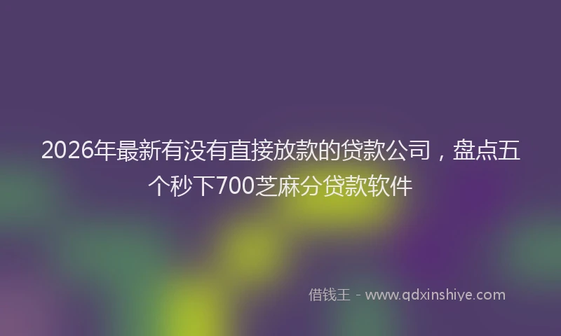 2026年最新有没有直接放款的贷款公司，盘点五个秒下700芝麻分贷款软件