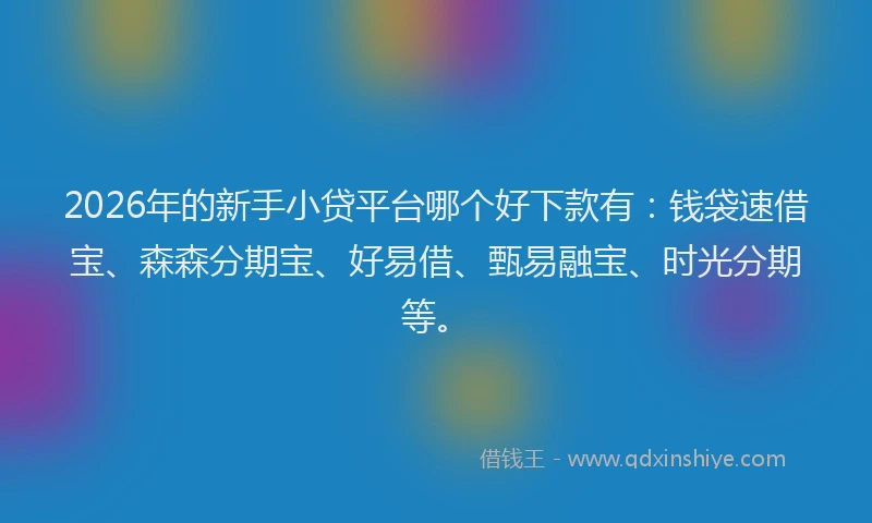 2026年的新手小贷平台哪个好下款有：钱袋速借宝、森森分期宝、好易借、甄易融宝、时光分期等。
