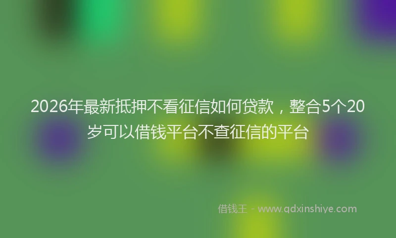 2026年最新抵押不看征信如何贷款，整合5个20岁可以借钱平台不查征信的平台