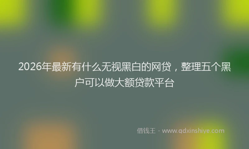 2026年最新有什么无视黑白的网贷，整理五个黑户可以做大额贷款平台