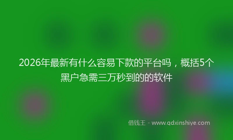 2026年最新有什么容易下款的平台吗，概括5个黑户急需三万秒到的的软件