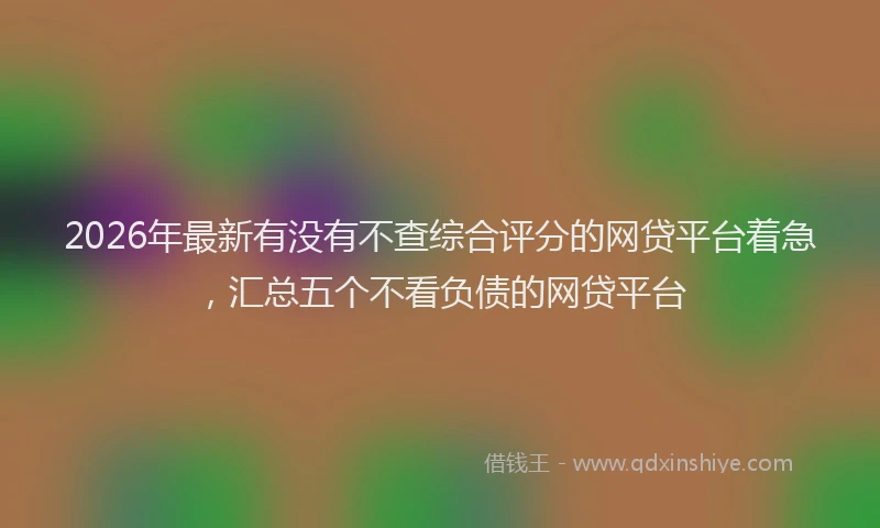 2026年最新有没有不查综合评分的网贷平台着急，汇总五个不看负债的网贷平台