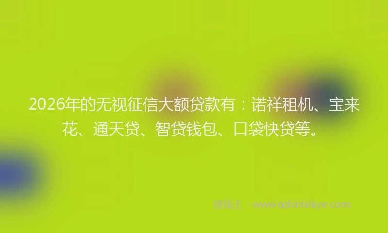 2026年的无视征信大额贷款有：诺祥租机、宝来花、通天贷、智贷钱包、口袋快贷等。