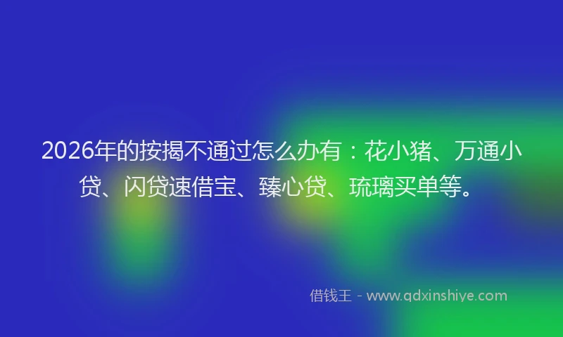 2026年的按揭不通过怎么办有：花小猪、万通小贷、闪贷速借宝、臻心贷、琉璃买单等。