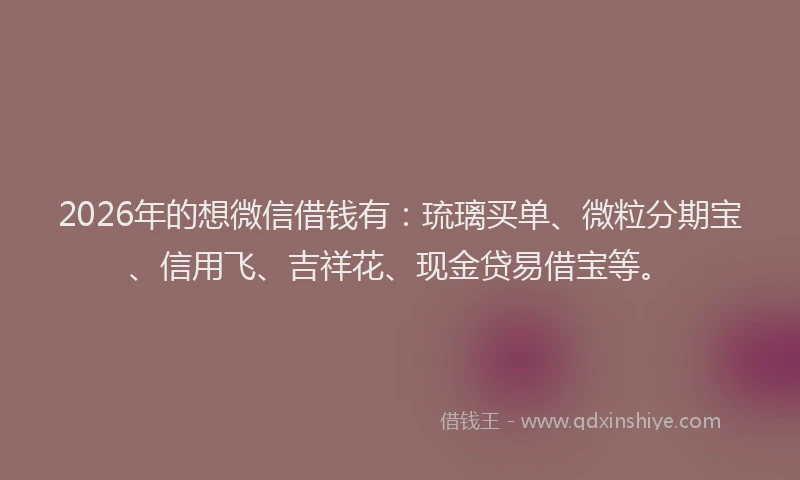 2026年的想微信借钱有：琉璃买单、微粒分期宝、信用飞、吉祥花、现金贷易借宝等。