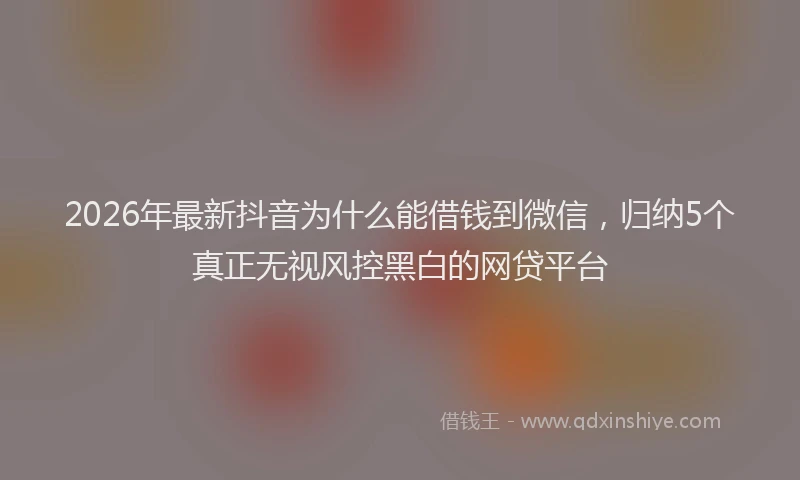 2026年最新抖音为什么能借钱到微信，归纳5个真正无视风控黑白的网贷平台