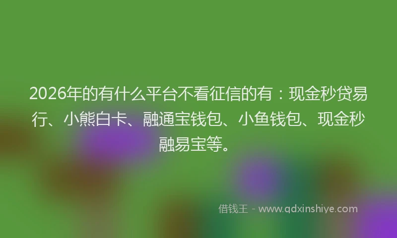 2026年的有什么平台不看征信的有：现金秒贷易行、小熊白卡、融通宝钱包、小鱼钱包、现金秒融易宝等。