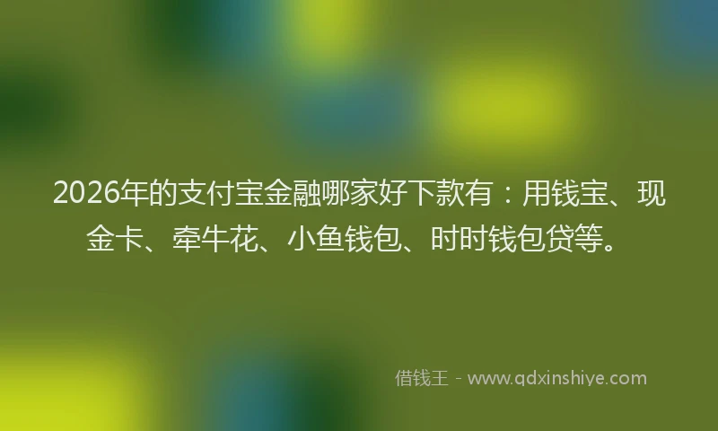 2026年的支付宝金融哪家好下款有：用钱宝、现金卡、牵牛花、小鱼钱包、时时钱包贷等。
