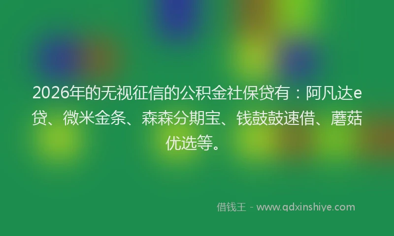 2026年的无视征信的公积金社保贷有：阿凡达e贷、微米金条、森森分期宝、钱鼓鼓速借、蘑菇优选等。