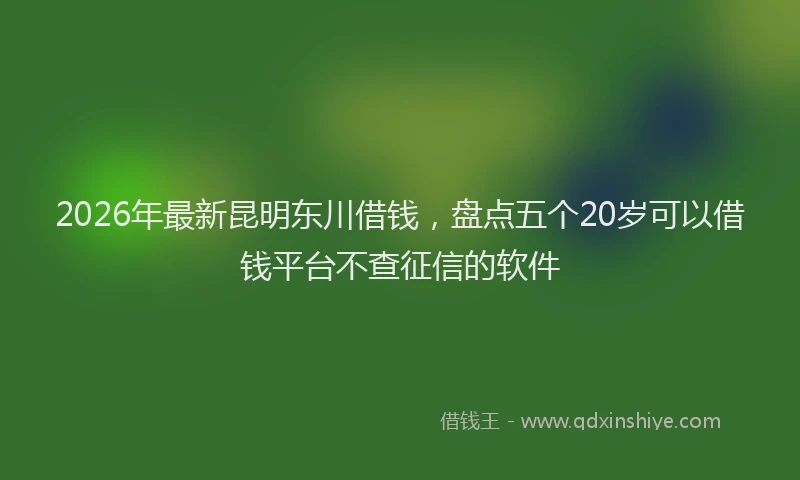 2026年最新昆明东川借钱，盘点五个20岁可以借钱平台不查征信的软件