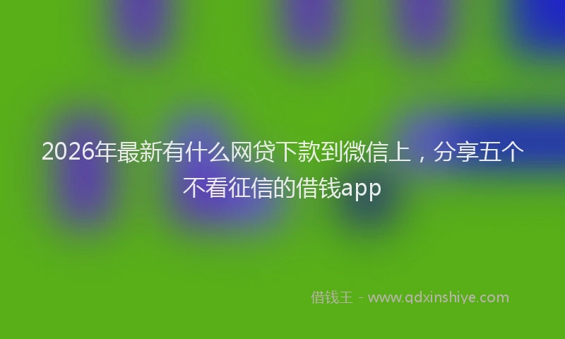 2026年最新有什么网贷下款到微信上，分享五个不看征信的借钱app
