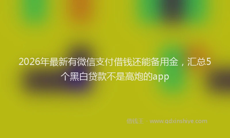 2026年最新有微信支付借钱还能备用金，汇总5个黑白贷款不是高炮的app