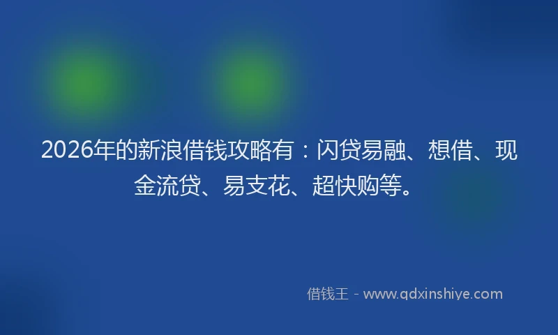 2026年的新浪借钱攻略有：闪贷易融、想借、现金流贷、易支花、超快购等。