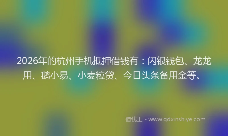 2026年的杭州手机抵押借钱有：闪银钱包、龙龙用、鹅小易、小麦粒贷、今日头条备用金等。