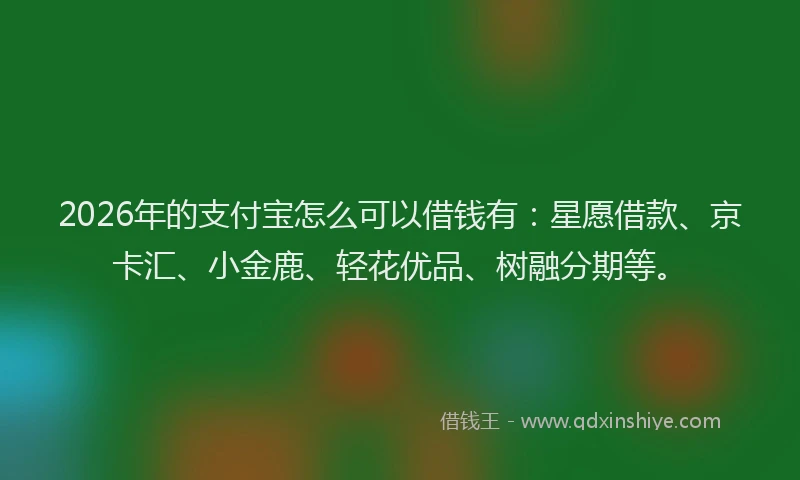 2026年的支付宝怎么可以借钱有：星愿借款、京卡汇、小金鹿、轻花优品、树融分期等。