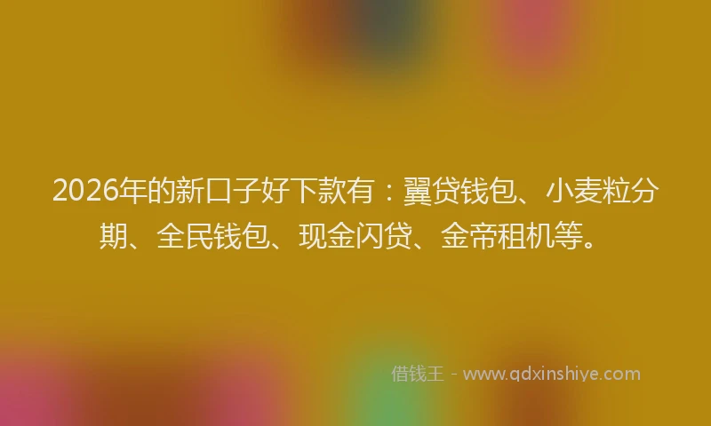 2026年的新口子好下款有：翼贷钱包、小麦粒分期、全民钱包、现金闪贷、金帝租机等。