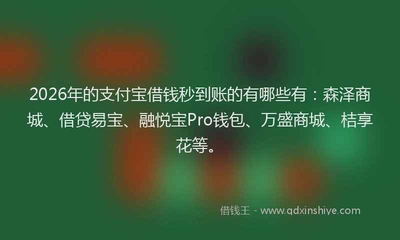 2026年的支付宝借钱秒到账的有哪些有：森泽商城、借贷易宝、融悦宝Pro钱包、万盛商城、桔享花等。