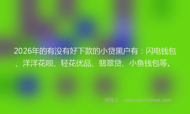 2026年的有没有好下款的小贷黑户有：闪电钱包、洋洋花呗、轻花优品、翡翠贷、小鱼钱包等。