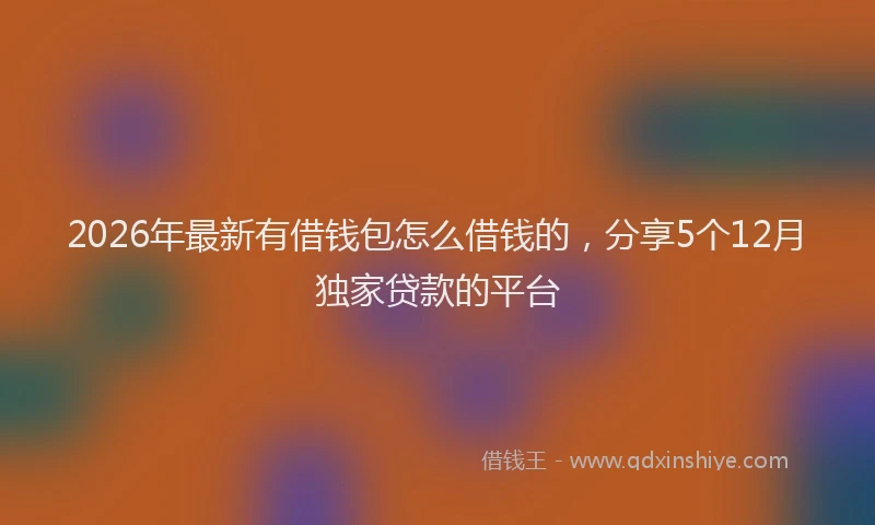 2026年最新有借钱包怎么借钱的，分享5个12月独家贷款的平台