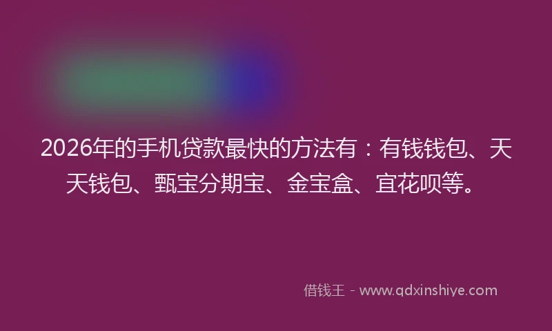 2026年的手机贷款最快的方法有：有钱钱包、天天钱包、甄宝分期宝、金宝盒、宜花呗等。