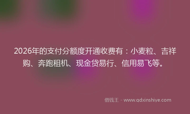 2026年的支付分额度开通收费有：小麦粒、吉祥购、奔跑租机、现金贷易行、信用易飞等。