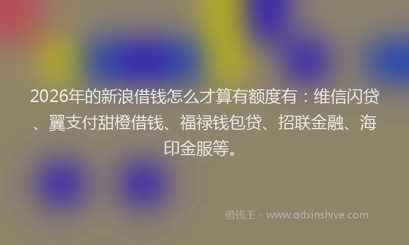 2026年的新浪借钱怎么才算有额度有：维信闪贷、翼支付甜橙借钱、福禄钱包贷、招联金融、海印金服等。