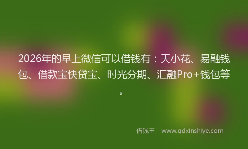 2026年的早上微信可以借钱有：天小花、易融钱包、借款宝快贷宝、时光分期、汇融Pro+钱包等。