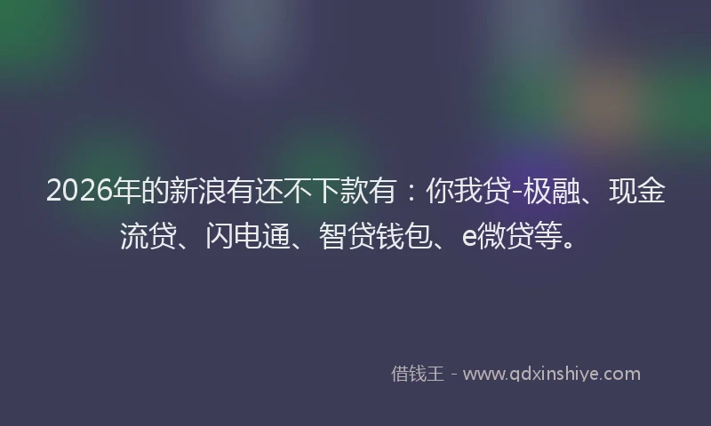 2026年的新浪有还不下款有：你我贷-极融、现金流贷、闪电通、智贷钱包、e微贷等。