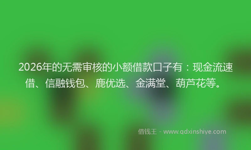 2026年的无需审核的小额借款口子有：现金流速借、信融钱包、鹿优选、金满堂、葫芦花等。