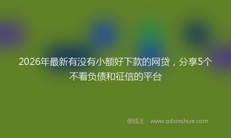2026年最新有没有小额好下款的网贷，分享5个不看负债和征信的平台