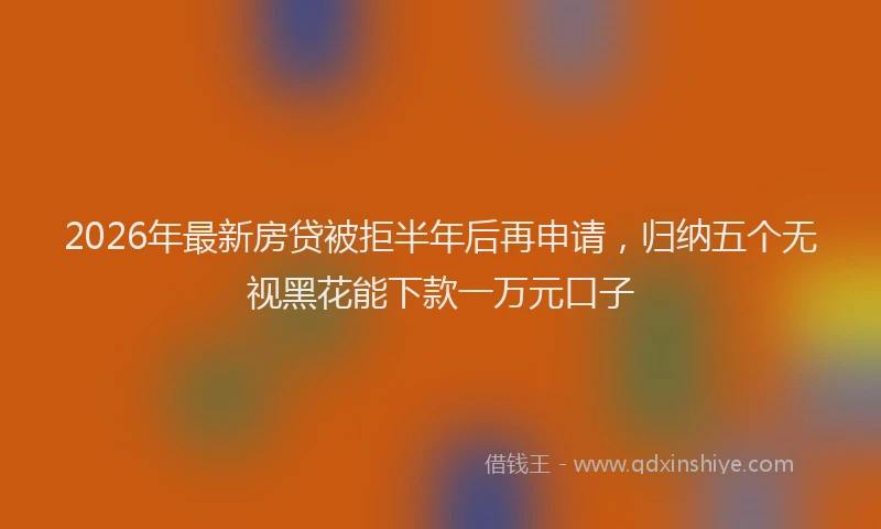 2026年最新房贷被拒半年后再申请，归纳五个无视黑花能下款一万元口子
