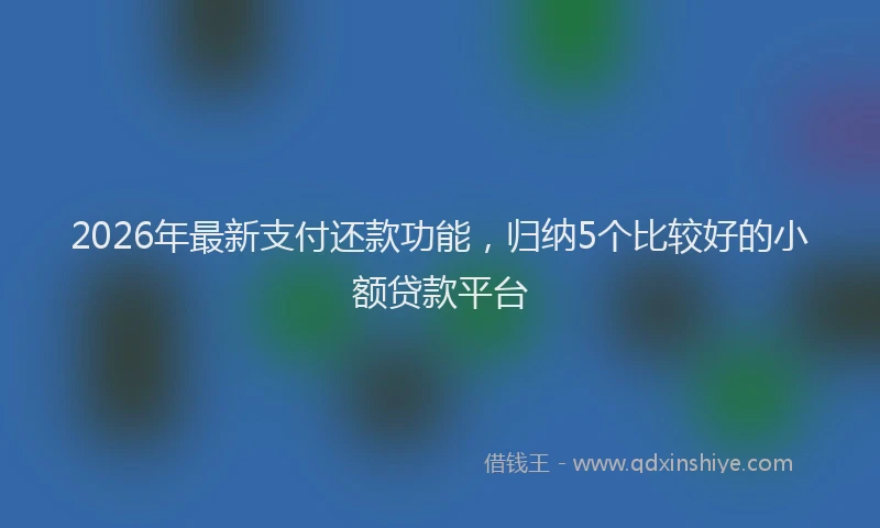 2026年最新支付还款功能，归纳5个比较好的小额贷款平台