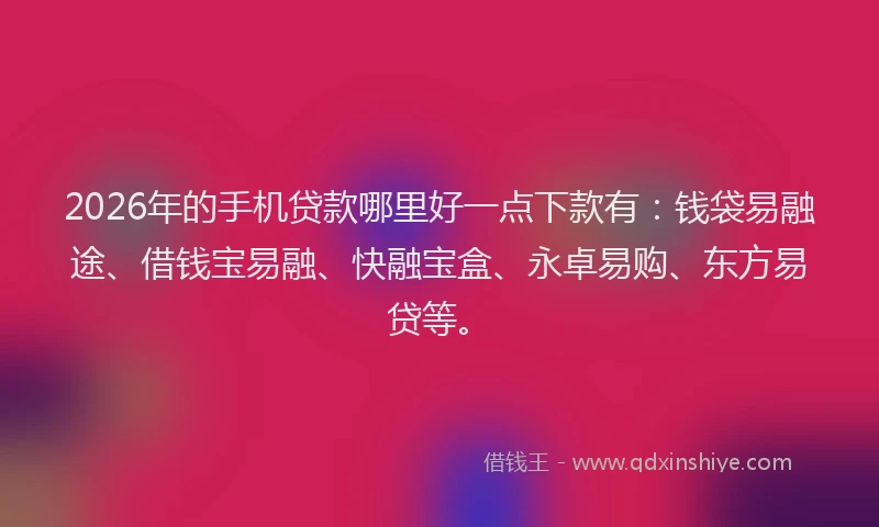 2026年的手机贷款哪里好一点下款有：钱袋易融途、借钱宝易融、快融宝盒、永卓易购、东方易贷等。