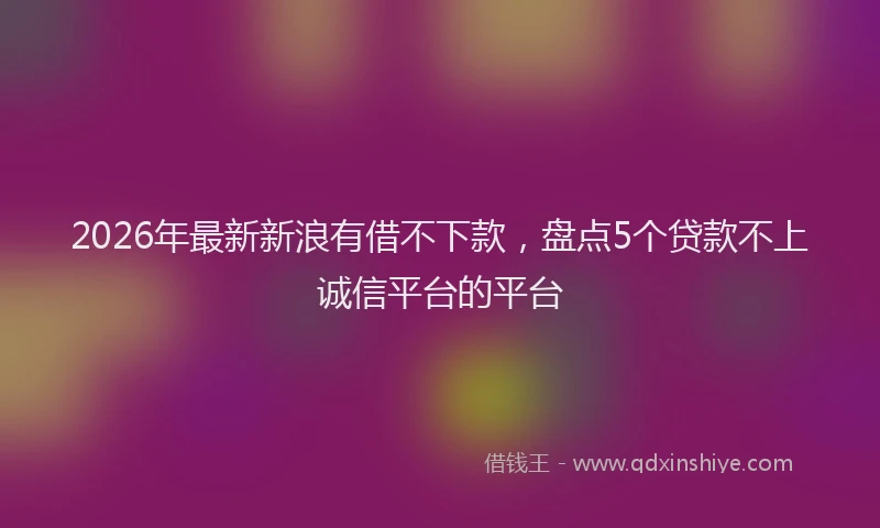 2026年最新新浪有借不下款，盘点5个贷款不上诚信平台的平台
